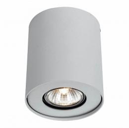 Изображение продукта Потолочный светильник Arte Lamp Falcon 